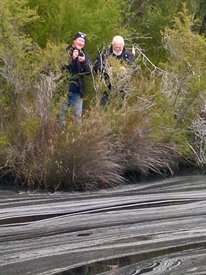 Water patterns being stalked