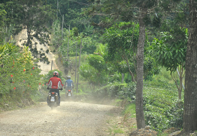 Riding on the
          pegs in the bush