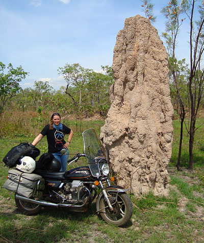 Checking the ant hill
          airconditioning