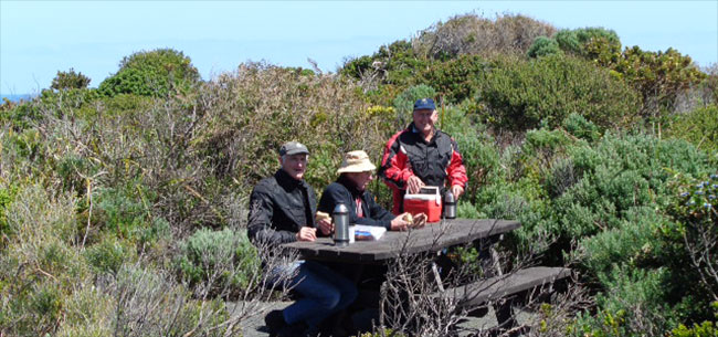 Phil, Bob, Warwick in the bushes at Windy Harbour.