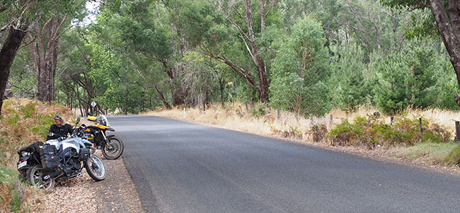 On the Nannup-Balingup road.