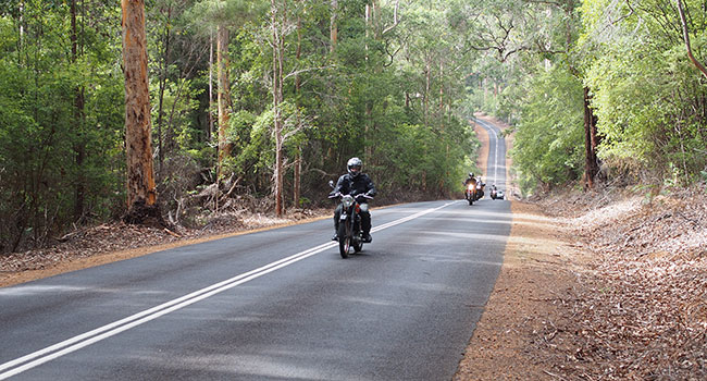 Riding through lovely forest near Pemberton.