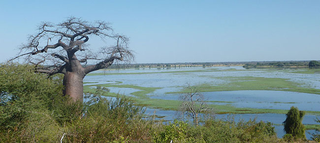 Okavango Delta.