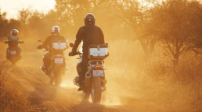 Riding through a game reserve at sunset.