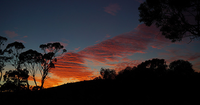 The sun coming up over the Fraser Range.