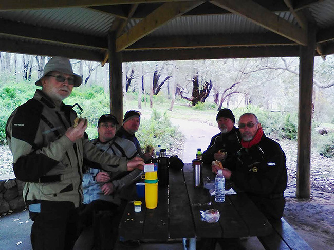 The usual suspects having a meal in the bush.