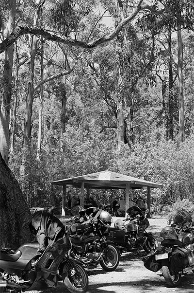 BBQ among the Karri trees.