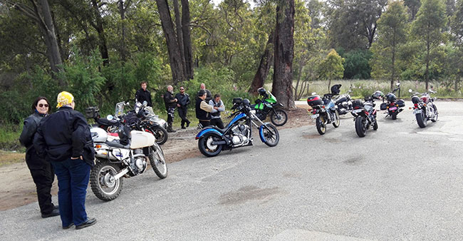 Mixed group of bikes.