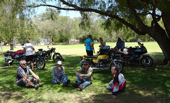 Chatting hard under the trees.