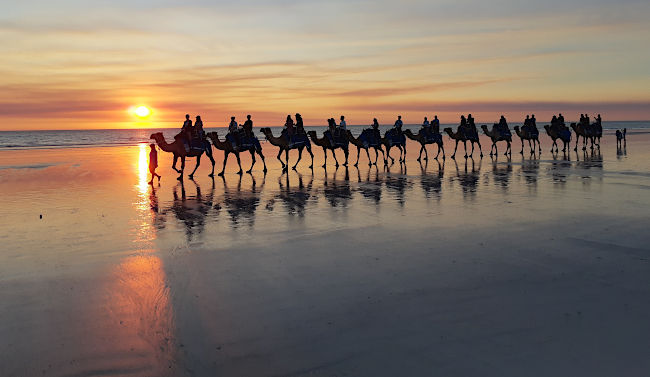 The camel train at Broome.