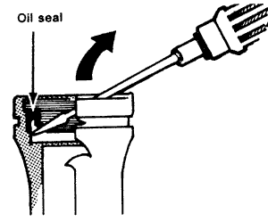 Screw-drivering the oil seal out.