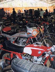 Shedfull of bikes