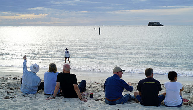 Taking in the beach at Hamelin Bay.