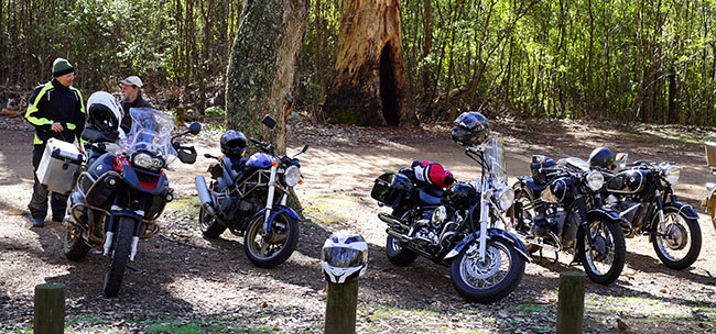 Line-up of some of the bikes.